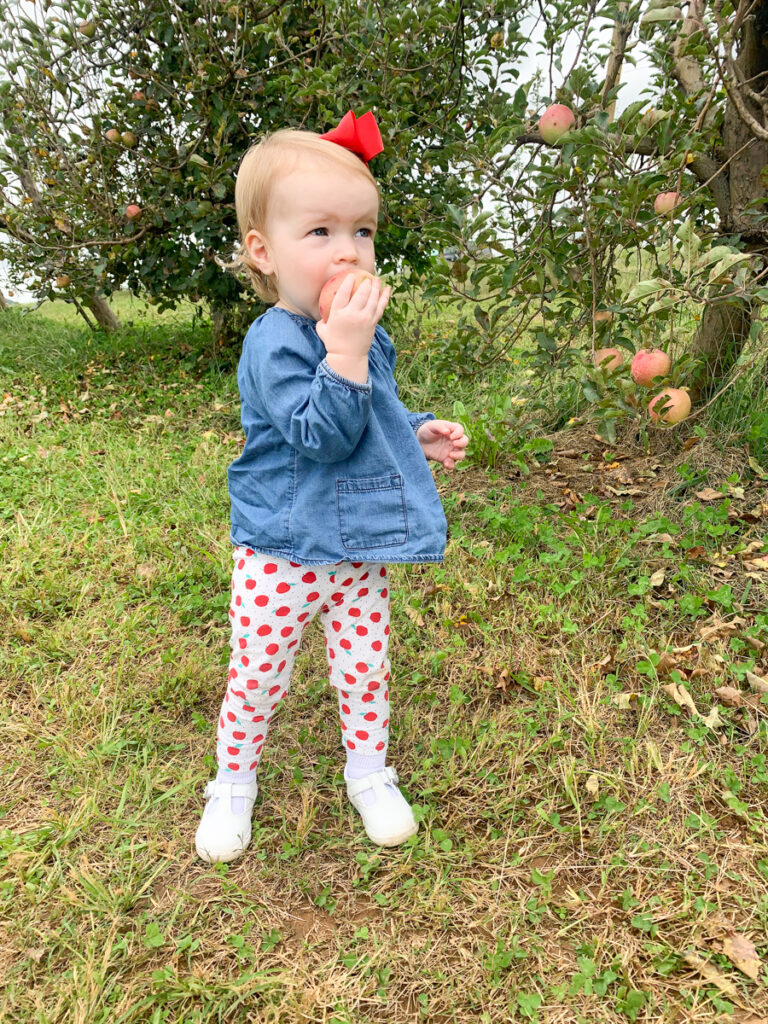 apple picking for kids