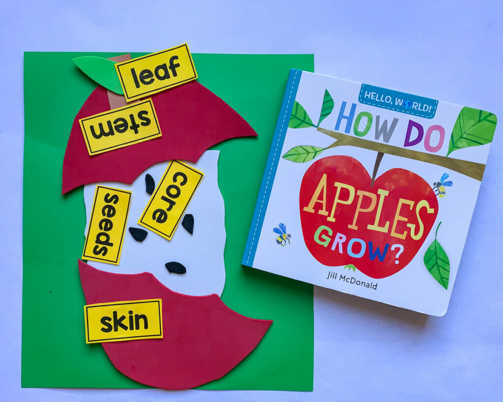 how do apples grow