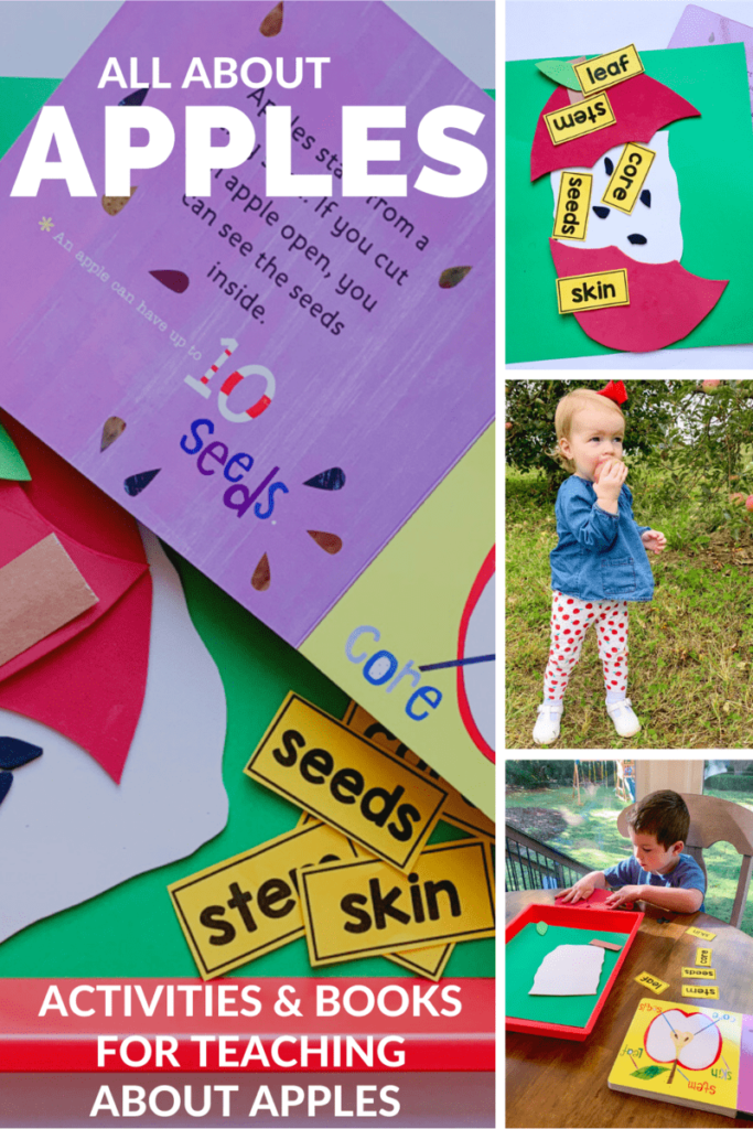 apple activities for preschool